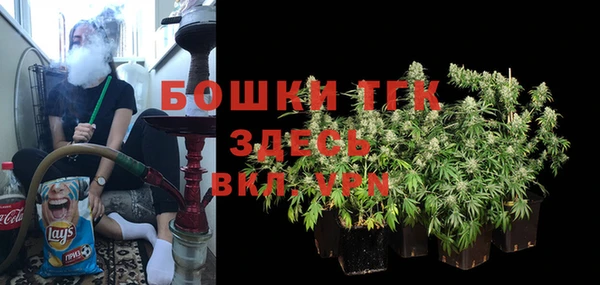 дмт Горняк
