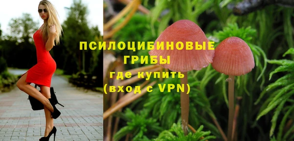 дурь Горнозаводск
