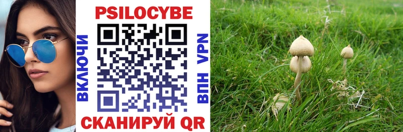 Псилоцибиновые грибы GOLDEN TEACHER Задонск